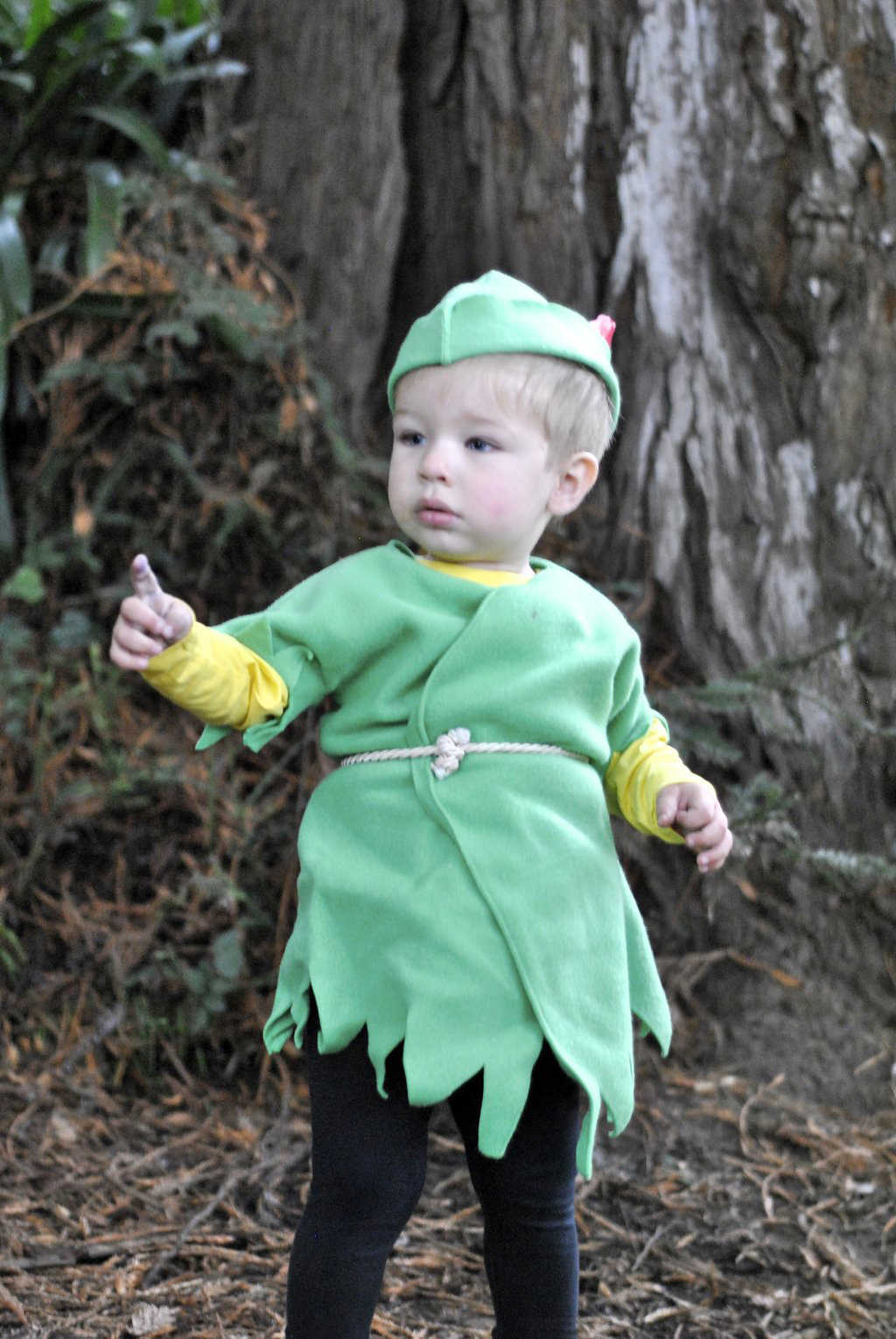 Peter Pan Halloween costume