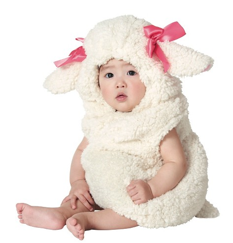 baby-lamb-halloween-costume-daily-little