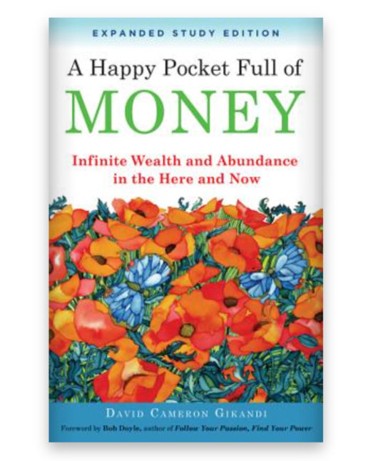 A happy pocket full of money book cover