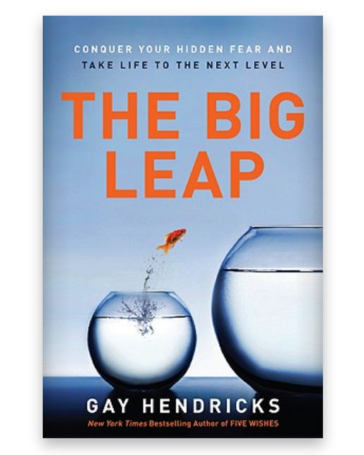The big leap book cover
